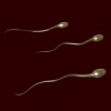 Want to Diminish Wrinkles, Use Human Sperm