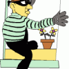 Great Tips: Things a Burglar WON’T Tell You