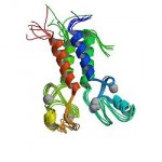 250px-pbb_protein_brca1_image